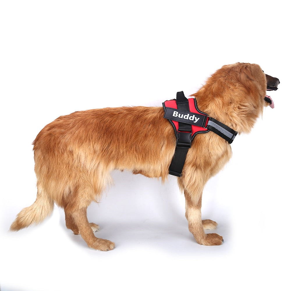Personalized No-Pull Dog Harness with Name