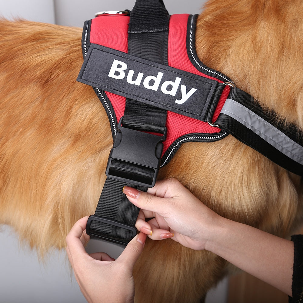 Personalized No-Pull Dog Harness with Name
