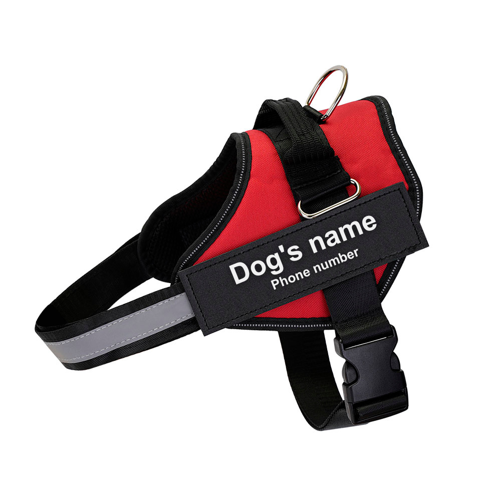 Personalized No-Pull Dog Harness with Name