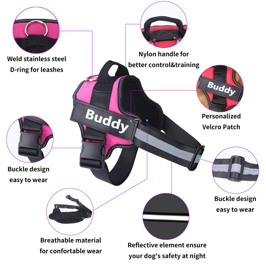 Personalized No-Pull Dog Harness with Name