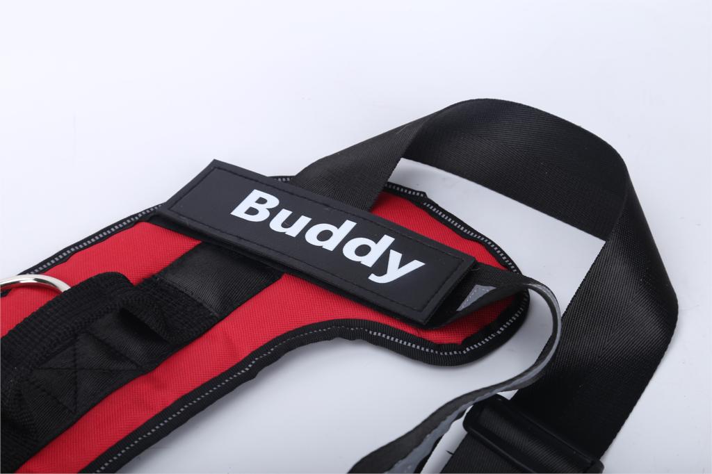 Personalized No-Pull Dog Harness with Name