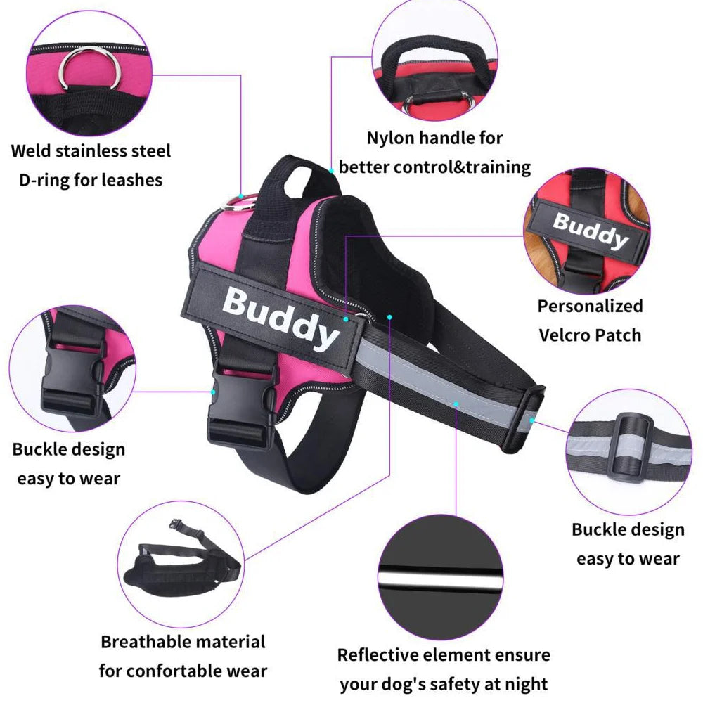 Personalized No-Pull Dog Harness with Name