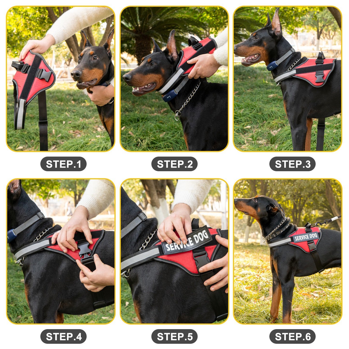 Personalized No-Pull Dog Harness with Name