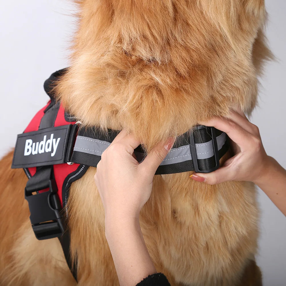 Personalized No-Pull Dog Harness with Name