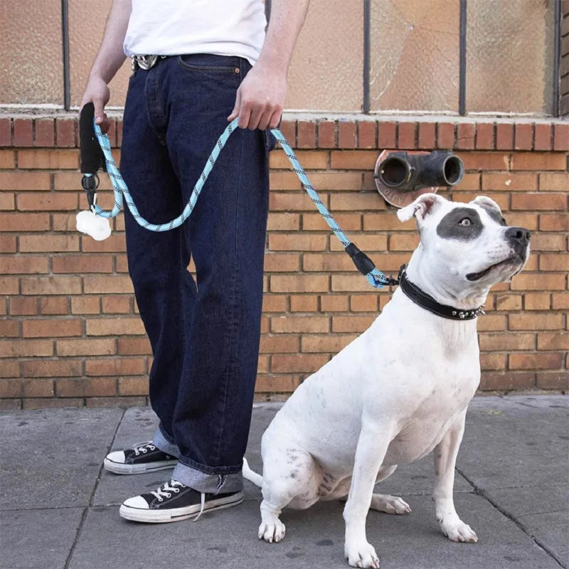 UltraSafe Pro Reflective Dog Lead – Breakaway, Padded & Quick Release