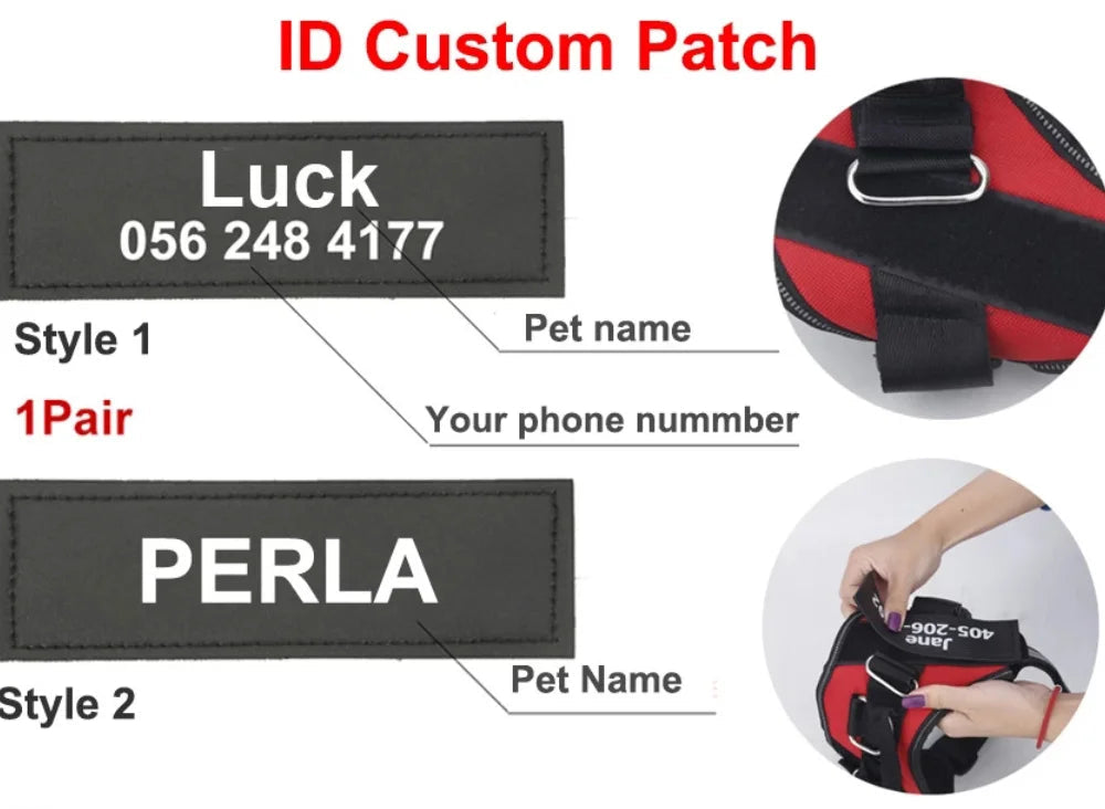 Personalized No-Pull Dog Harness with Name