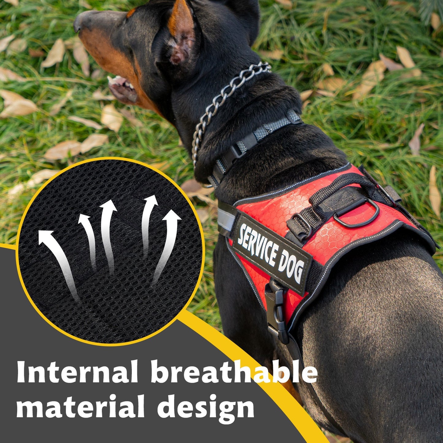 Personalized No-Pull Dog Harness with Name