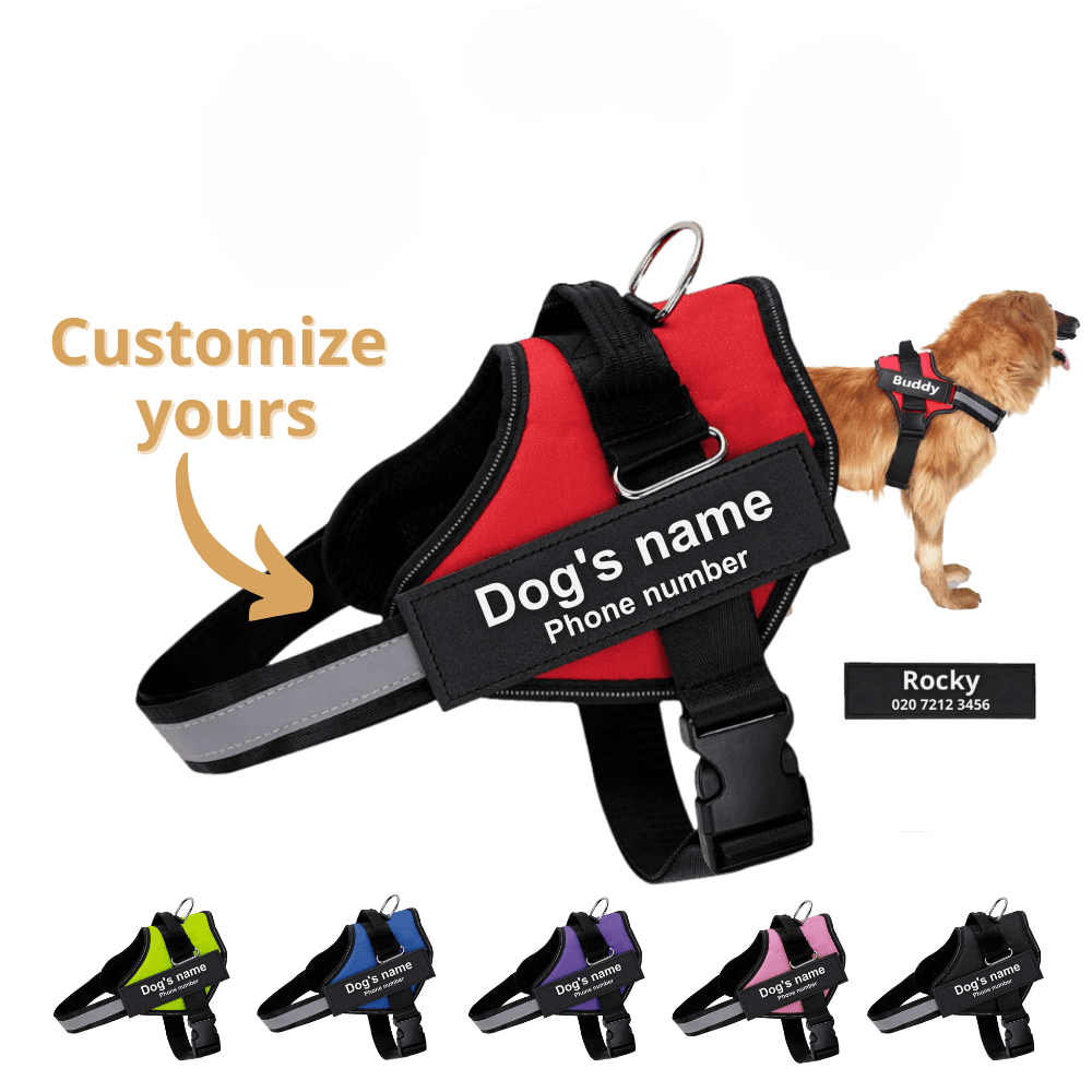 Personalized No-Pull Dog Harness with Name