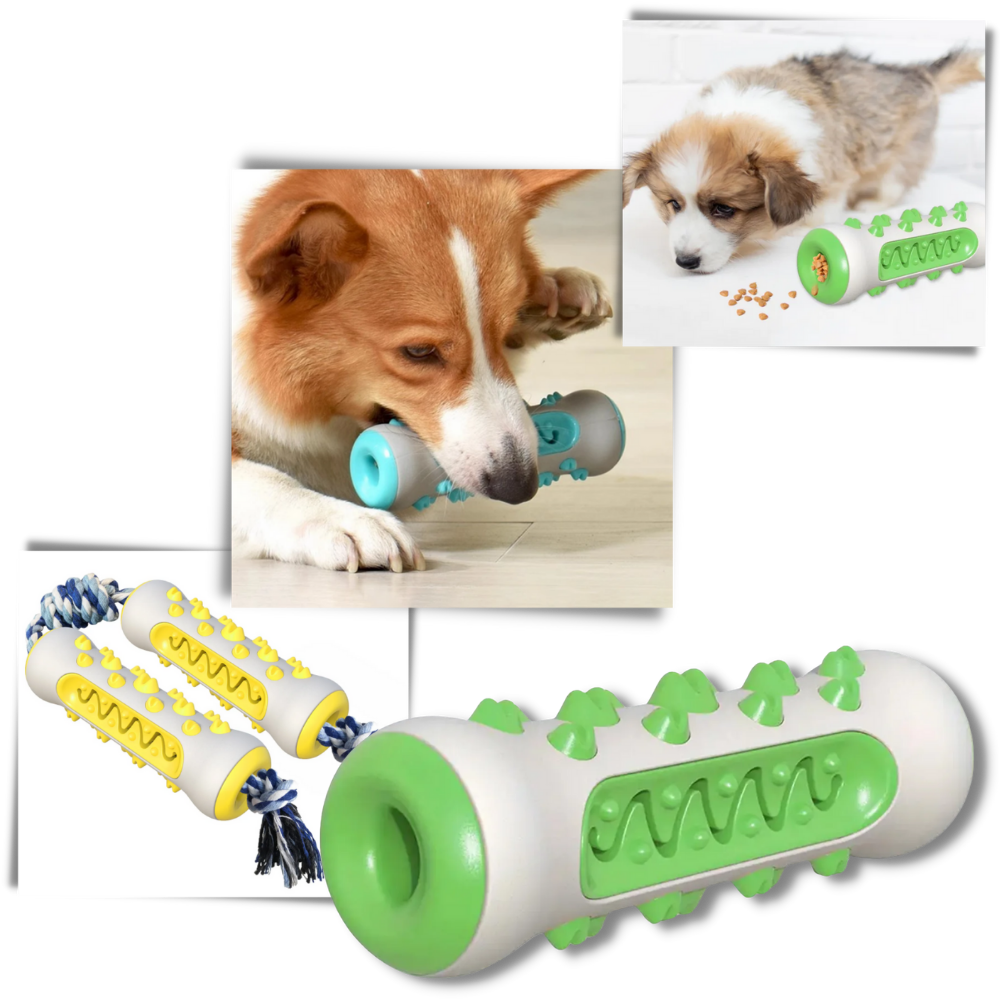 Dental Care Chew Toy for Dogs