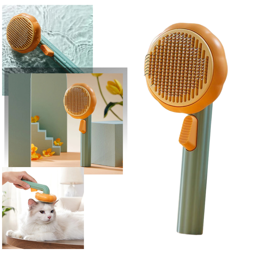 Self-cleaning pumpkin pet brush