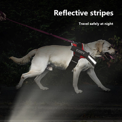 Personalized No-Pull Dog Harness with Name