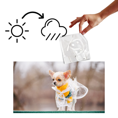 Hooded Raincoat for Dogs
